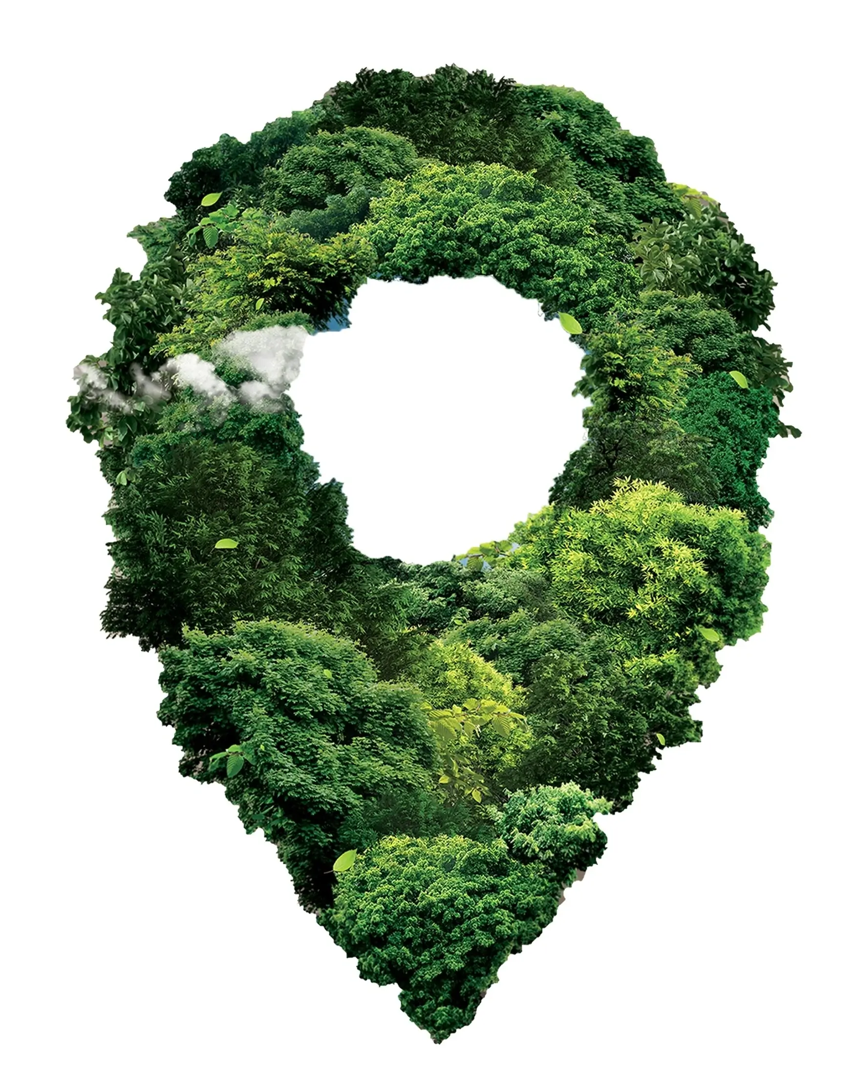 Creative Design visual